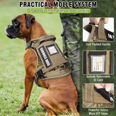MOOGROU 2-in-1 leash demonstrates car seat belt compatibility for safe travel