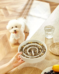 MOPANG ceramic slow-feeder bowl with puzzle maze design for mindful eating
