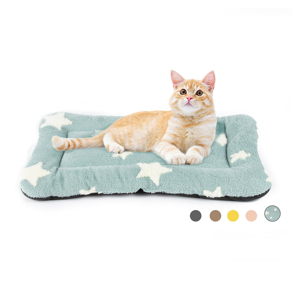 Mora Pets cat bed indoors for cozy comfort and easy cleaning.