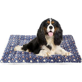 Mora Pets star print crate mat for cozy crate time