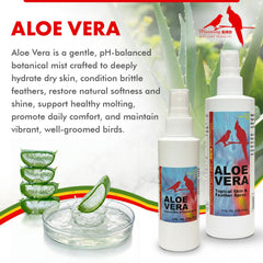 Morning Bird Aloe Vera Spray mist on feathers to refresh plumage.
