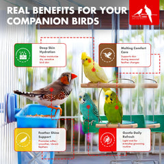 Morning Bird Aloe Vera Spray applied to bird skin for soothing relief.