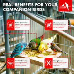 Morning Bird Calcium Plus Powder added to fruits and vegetables boosts nutrient intake.