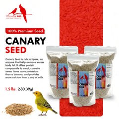 Morning Bird Canary Seed 3-pack bags highlight ready-to-use nutrition for small pet birds