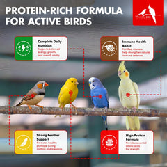 Morning Bird Miracle Meal protein boost supports strength during molt.