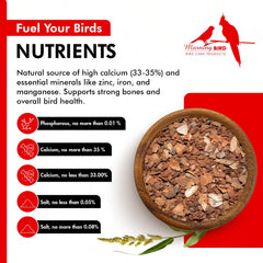 Morning Bird Pigeon Grit served in a dish for easy bird feeding.