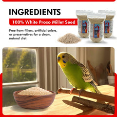 Morning Bird White Proso Millet Seed closeup shows unhulled grains, great for energy