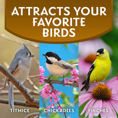 Birds flock to a feeder with Morning Song sunflower hearts.