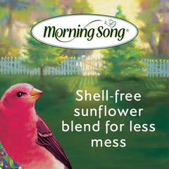 Morning Song no mess bird food panorama demonstrates minimal cleanup after feeding.