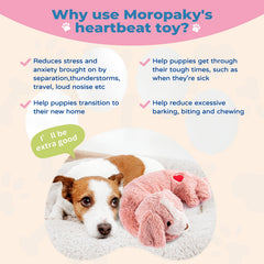Moropaky crate-training heartbeat toy helps puppies settle in new environments