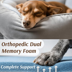 MORULINI two harness attachment options secure pets without sacrificing movement.