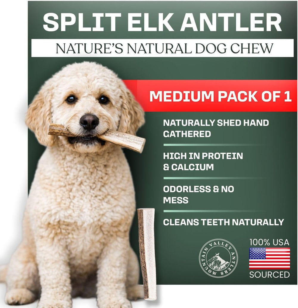 Mountain Valley Antlers elk antlers dog chew, medium packshot, durable for strong chewers