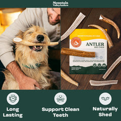 Mountain Valley Antlers ethically sourced closeup emphasizes wild-foraged origin and responsible sourcing.