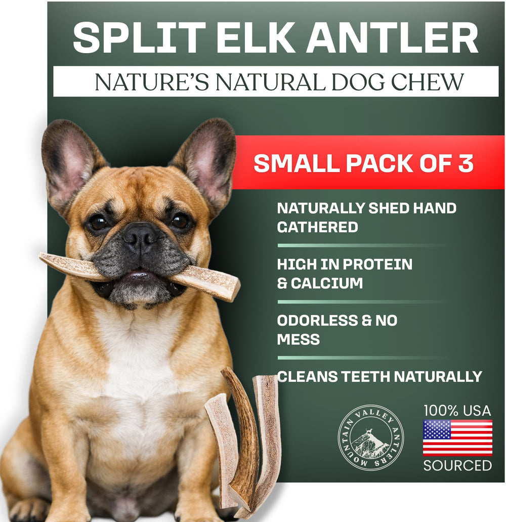 Mountain Valley Antlers pack shot, split small 3-pack for long-lasting chewing.