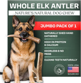 Mountain Valley Elk Antlers close-up texture for a durable, long-lasting dog chew.
