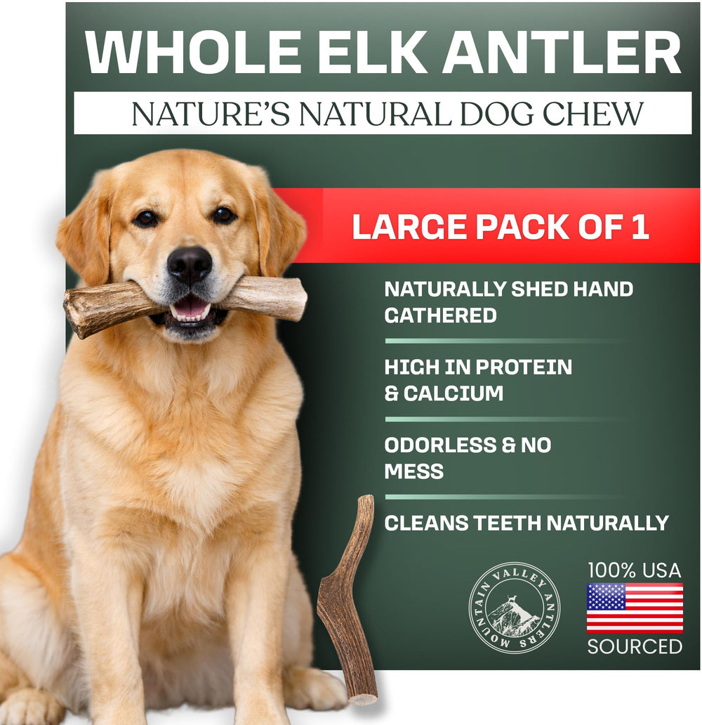 Mountain Valley Elk Antlers for Dogs pack shot showing natural, long-lasting chews