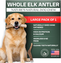 Mountain Valley Elk Antlers for Dogs pack shot showing natural, long-lasting chews