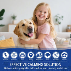 MOYAMUTU refill pack of four for continuous calming diffusion