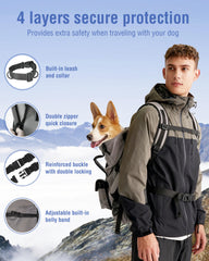 Moysoon dog backpack worn on dog during activity highlights hands-free freedom