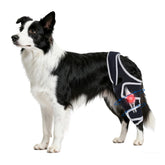 Moysoon knee brace with adjustable straps for a secure fit on a large dog’s leg