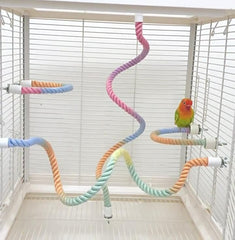 MQACPUPY parrot perched on rope perch for active climbing.