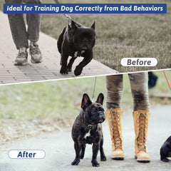 MR.BEEFOO pinch collar with soft rubber tips adding comfort during training