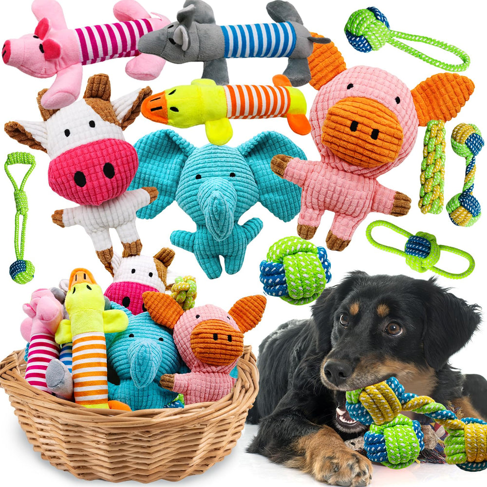 Mruq pet 12-pack dog squeaky toys set for interactive play and focus