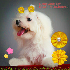 Mruq pet yorkie puppy bows closeup for adorable grooming looks.