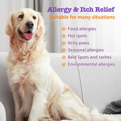 Mshuheene Dog Allergy Chews bottle design with omega-3 and probiotics emphasis.