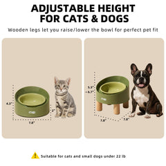 MS!MAKE SURE cat bowl large capacity holds up to 0.5 lb of food for fewer refills