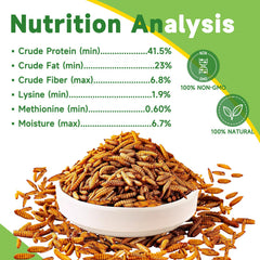 MTART eco-friendly packaging with larvae, showcasing sustainable protein source for animals.