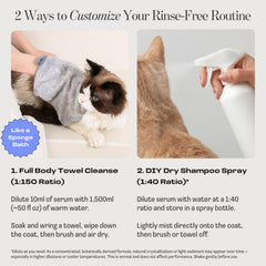 Muddi Pet towel-cleanse application shows easy no-rinse cleanup for cats