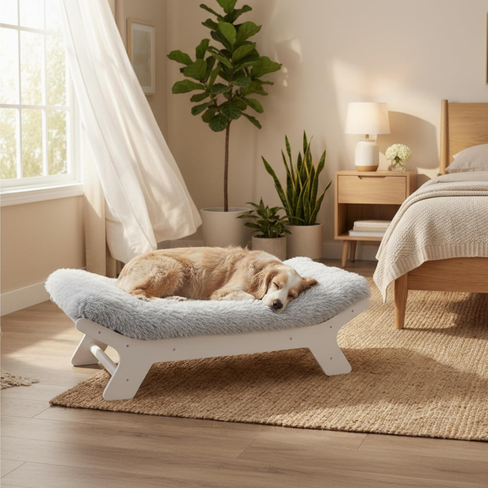 Muihood wood-frame elevated dog bed demonstrates a sturdy frame for active dogs.