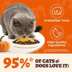 MULTIBITES pumpkin puree squeezable pouch shown for easy pet topping application.