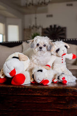 Multipet Lamb Chop toy featuring a squeaker for added excitement during fetch.