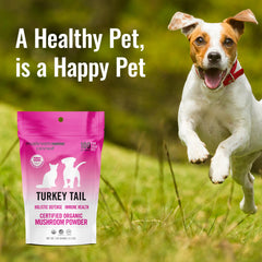 Mushroom Matrix Pet Turkey Tail powder close-up highlights organic, human-grade ingredients.