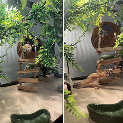 MUYG coconut silk mat offers a soft resting surface for reptiles.