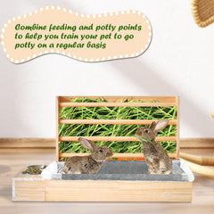 MUYG plastic sand basin complements the litter box for clean habitat