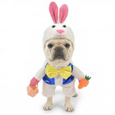 MuYaoPet Easter Bunny dog costume bodysuit with bow tie for playful photos