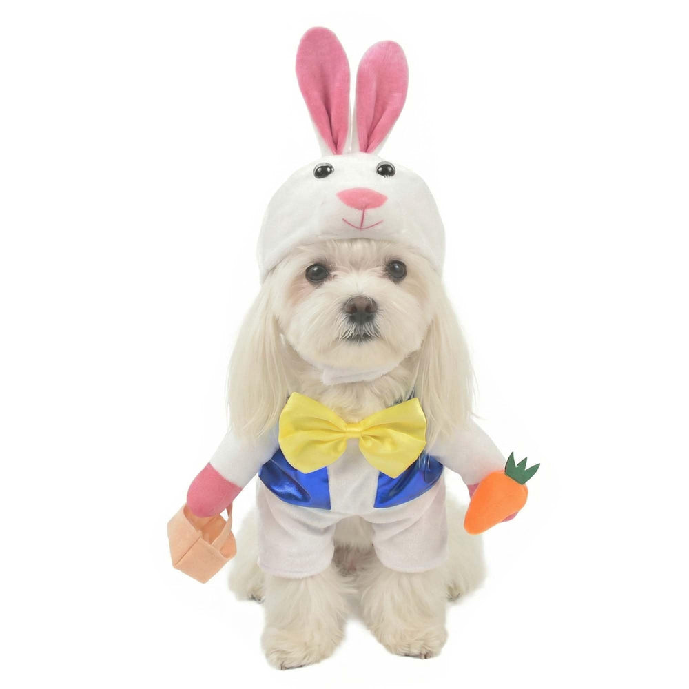 MuYaoPet Easter Bunny Dog Costume for bright Easter photos and playful moments