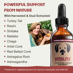Serving dish image suggests easy mixing into dog meals with MycoDog Vitality.