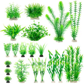 MyLifeUNIT aquarium plants: green varieties for a vibrant freshwater tank.