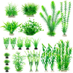 MyLifeUNIT aquarium plants: green varieties for a vibrant freshwater tank.
