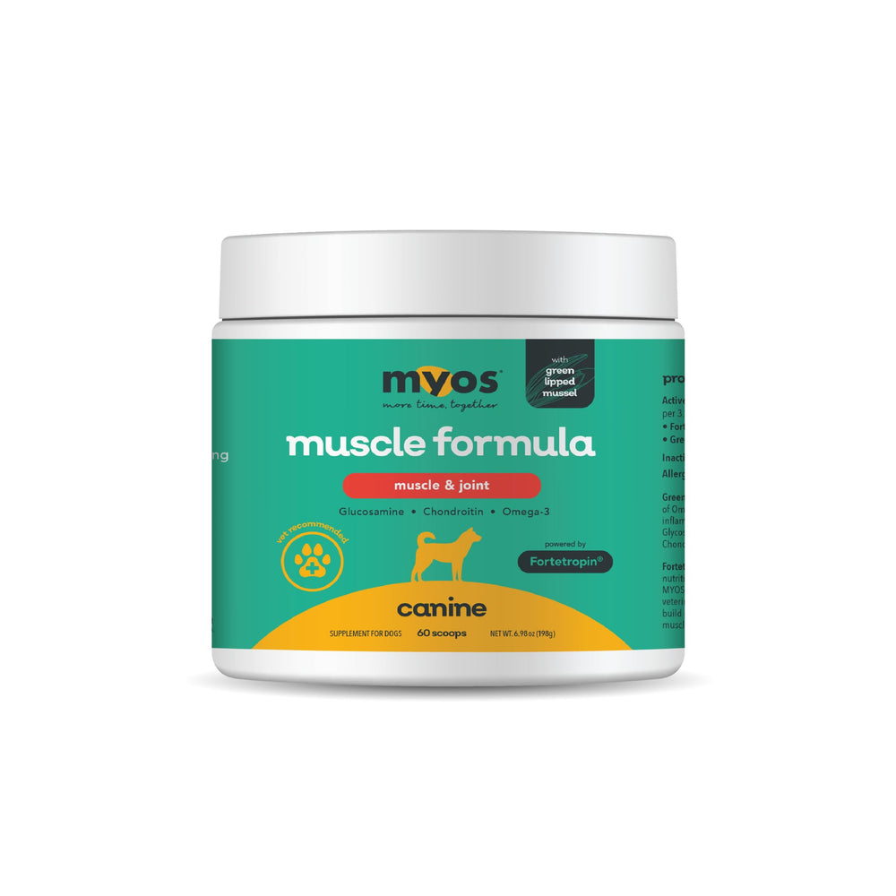 MYOS Canine Muscle Formula bottle close-up showing texture for muscle support.