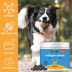 Packaging showing hip joint support claims for dogs in MYOS Canine Muscle Formula