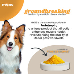 Close-up view of MYOS Canine Muscle Formula label highlighting Fortetropin ingredient.