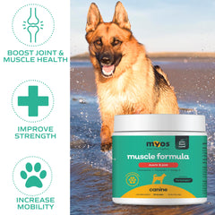 MYOS Canine Muscle Formula powder texture with scoop for easy mixing after activity.