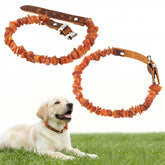 Mysora amber dog collar with adjustable leather strap for comfortable daily wear.