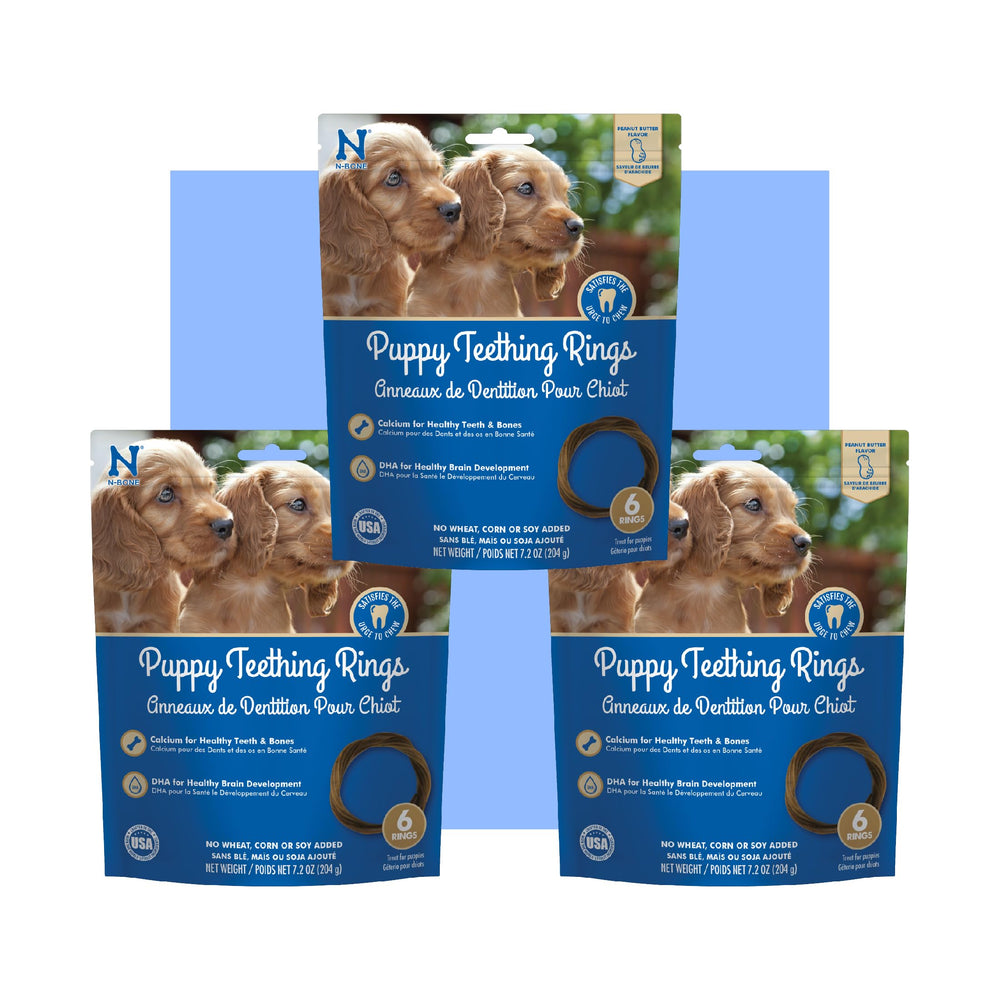 N-Bone puppy teething ring peanut butter closeup promotes soothing gum relief.