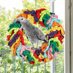 Napiass Parrot Swing African Grey snuggling and preening on rope